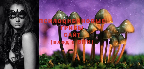 мяу мяу мука Армянск