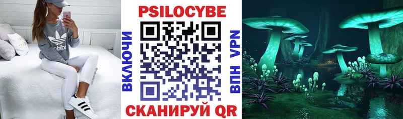 даркнет формула  кракен ссылки  Динская  Псилоцибиновые грибы GOLDEN TEACHER 