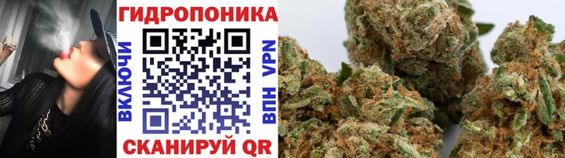 ссылка на мегу   Динская  Марихуана Ganja  что такое  